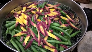 Braised Green Beans 3
